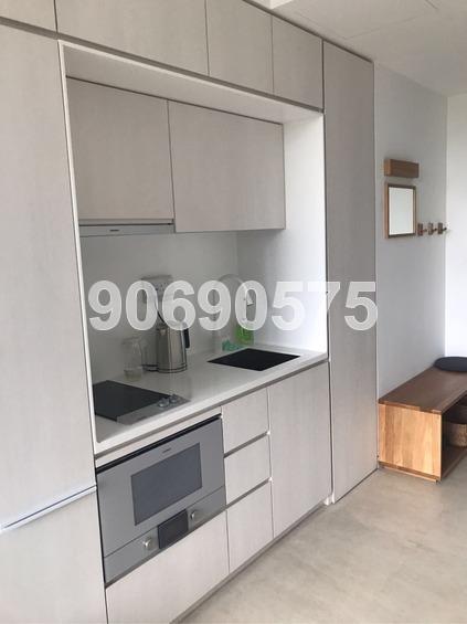 Fulcrum (D15), Condominium #158443502